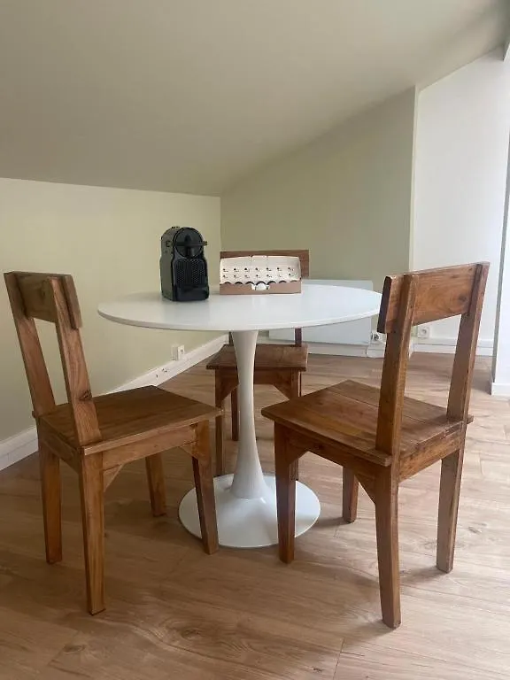 Le Nerolii Apartment Lyon France